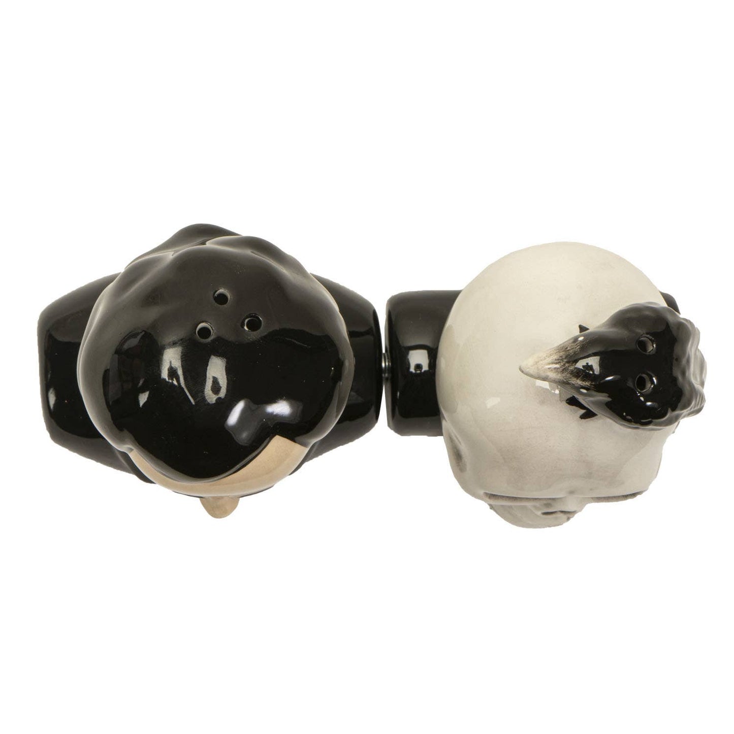 Edgar Allan Poe ceramic salt and pepper shaker set