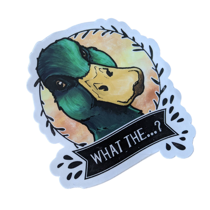 Autocollant Canard Colvert “What the…?”