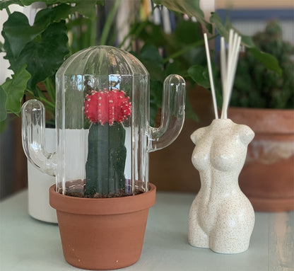 Aphrodite fragrance diffuser