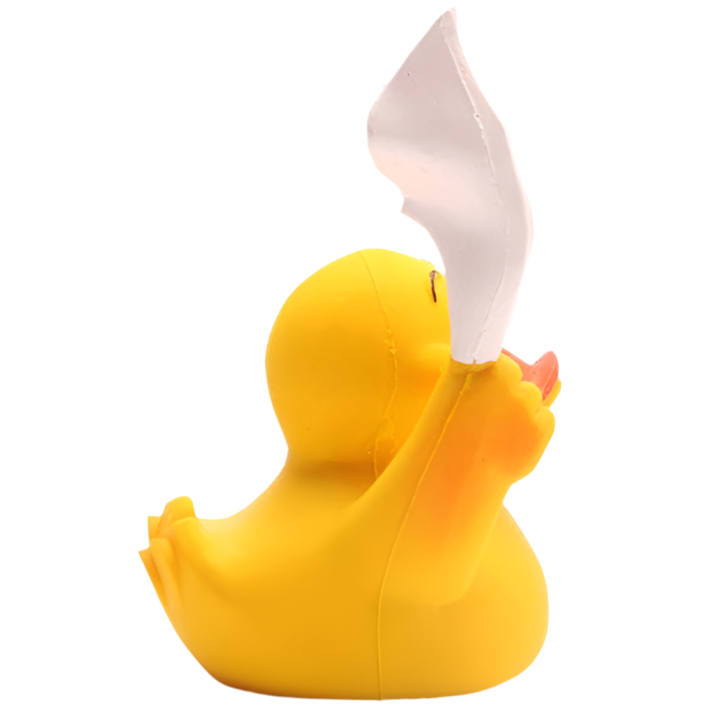 Duck Bye Bye