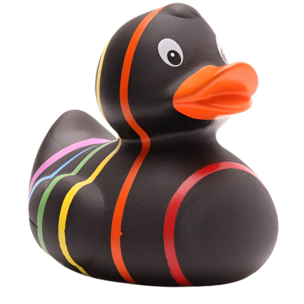 Klassische schwarze Regenbogenente