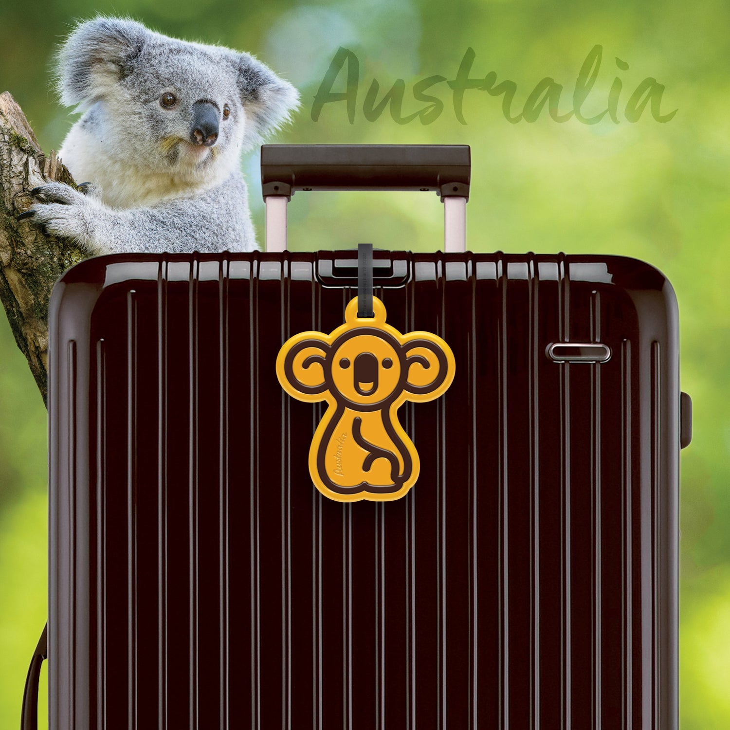 Koala
