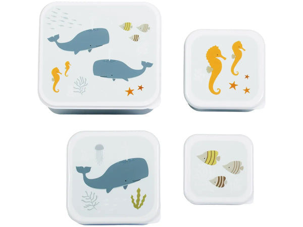 Pack of 4 Snack and Lunch Boxes - Ocean