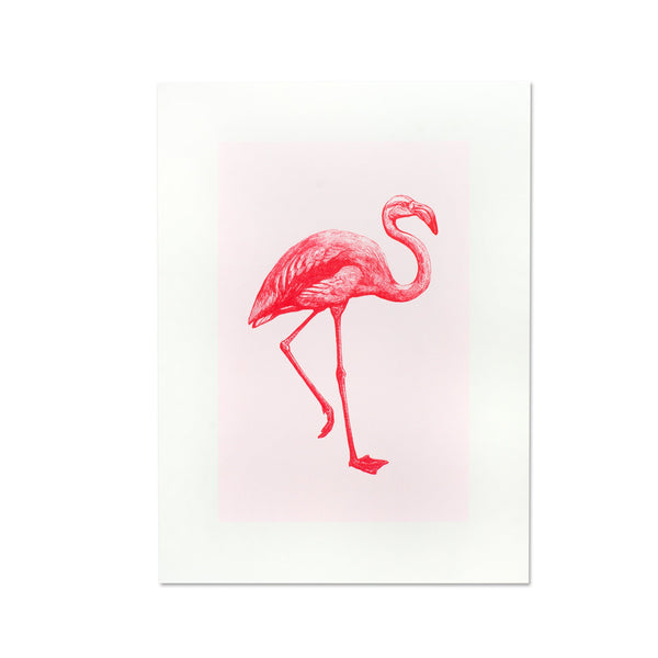 Kunstdruck Flamingo
