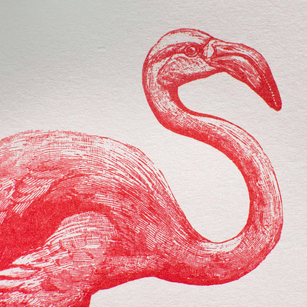 Kunstdruck Flamingo