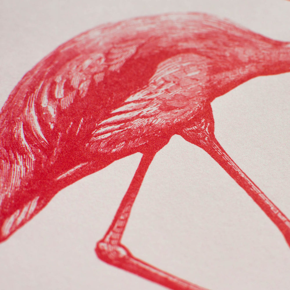 Kunstdruck Flamingo