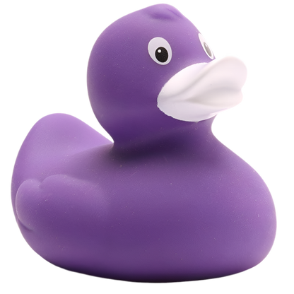 canard classique violet