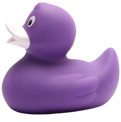 canard classique violet