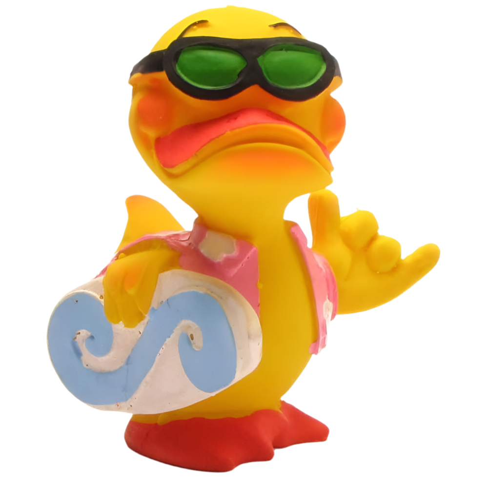 Canard Surfeur