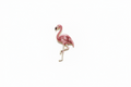 Patch Flamant Rose Thermocollant