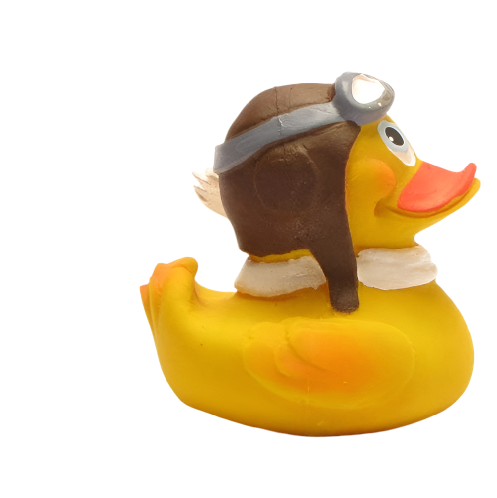 Canard Aviateur