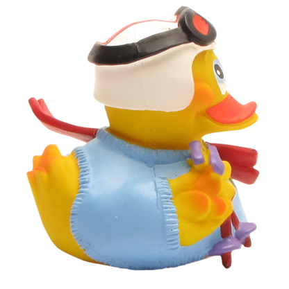 Skiing Duck