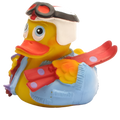 Skiing Duck