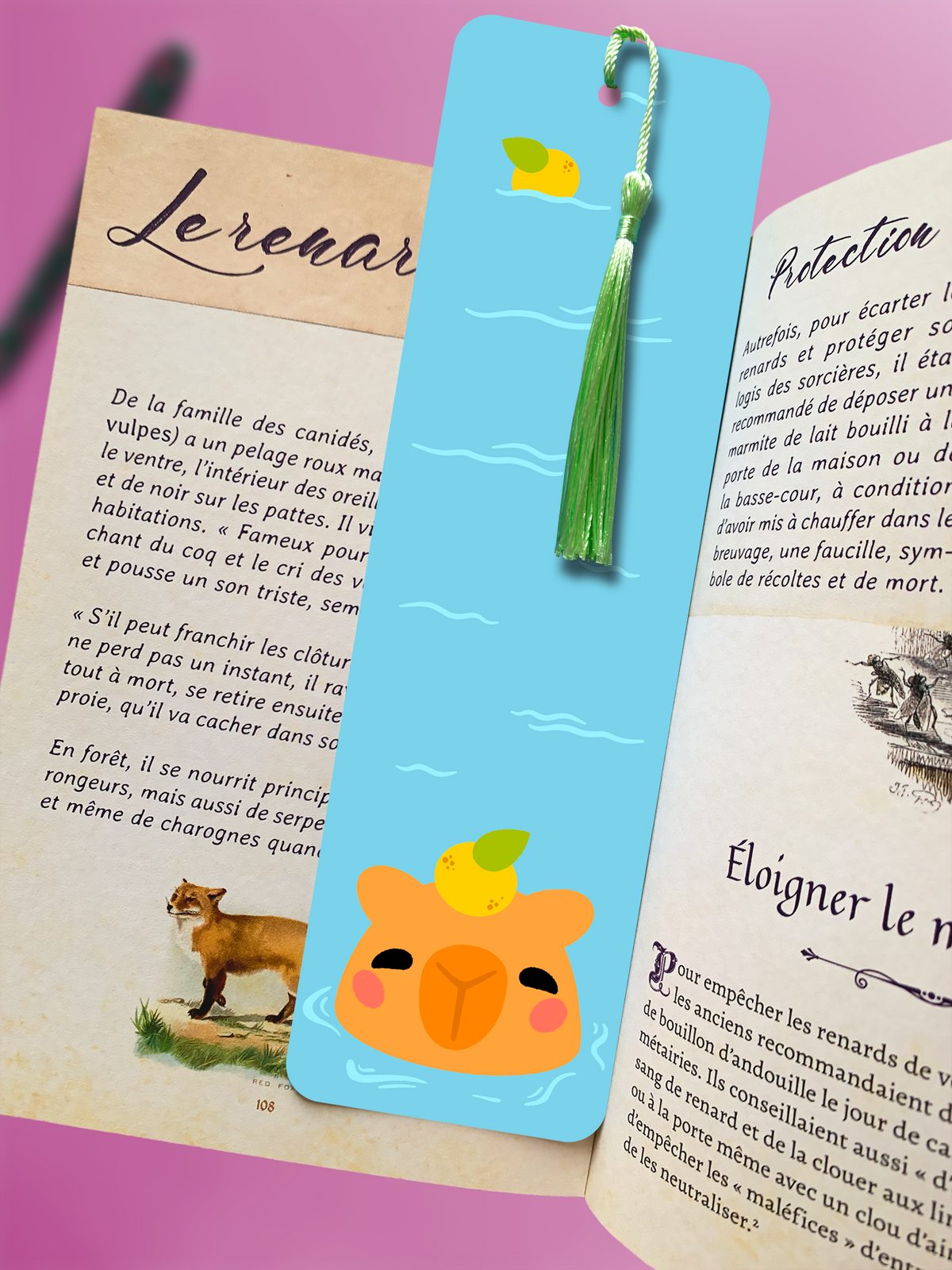 Capybara Onsen | Bookmark