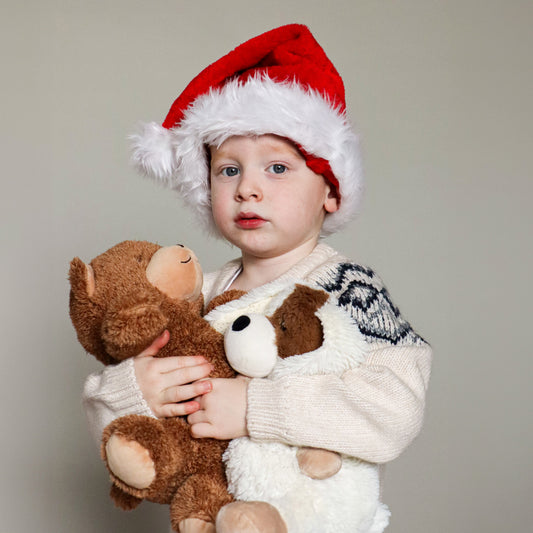 Ours Teddy bouillotte Warmies