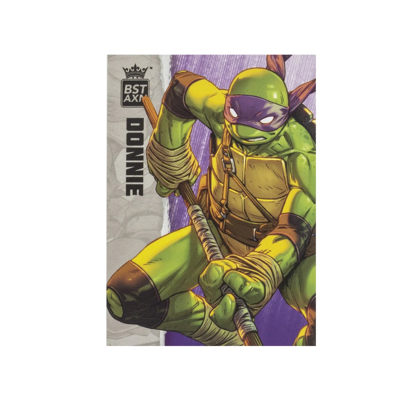 BST AXN Donatello (IDW Comics) 