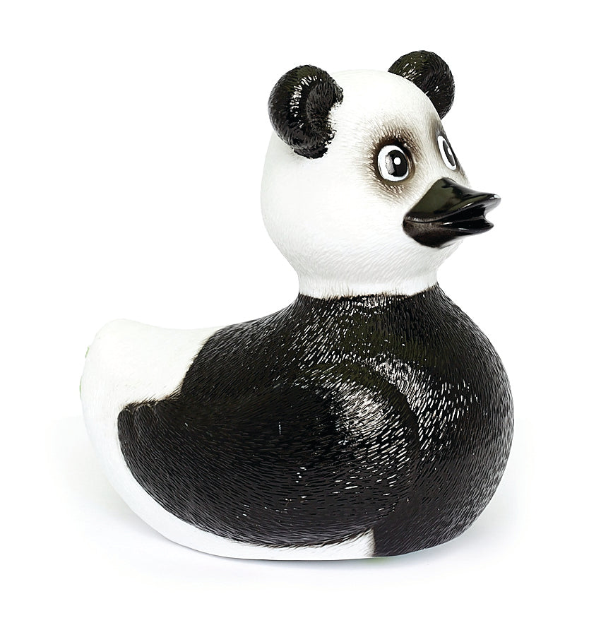 Canard Panda