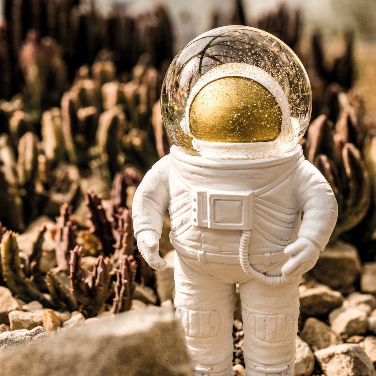 Snowshot astronaut