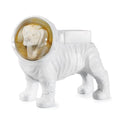 Boule à Neige Chien Astronaute