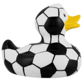 Calcio delle anatre