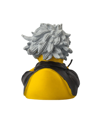 Beethoven Duck