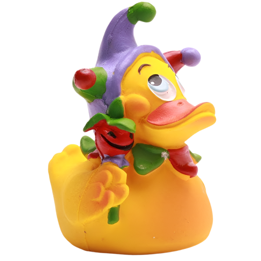 Canard Arlequin