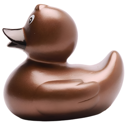 canard classique bronze