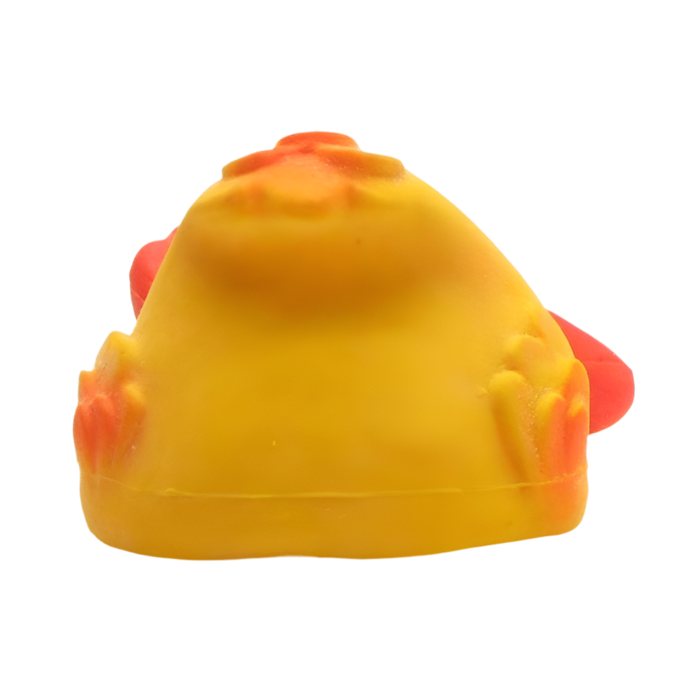 Canard en Plongée