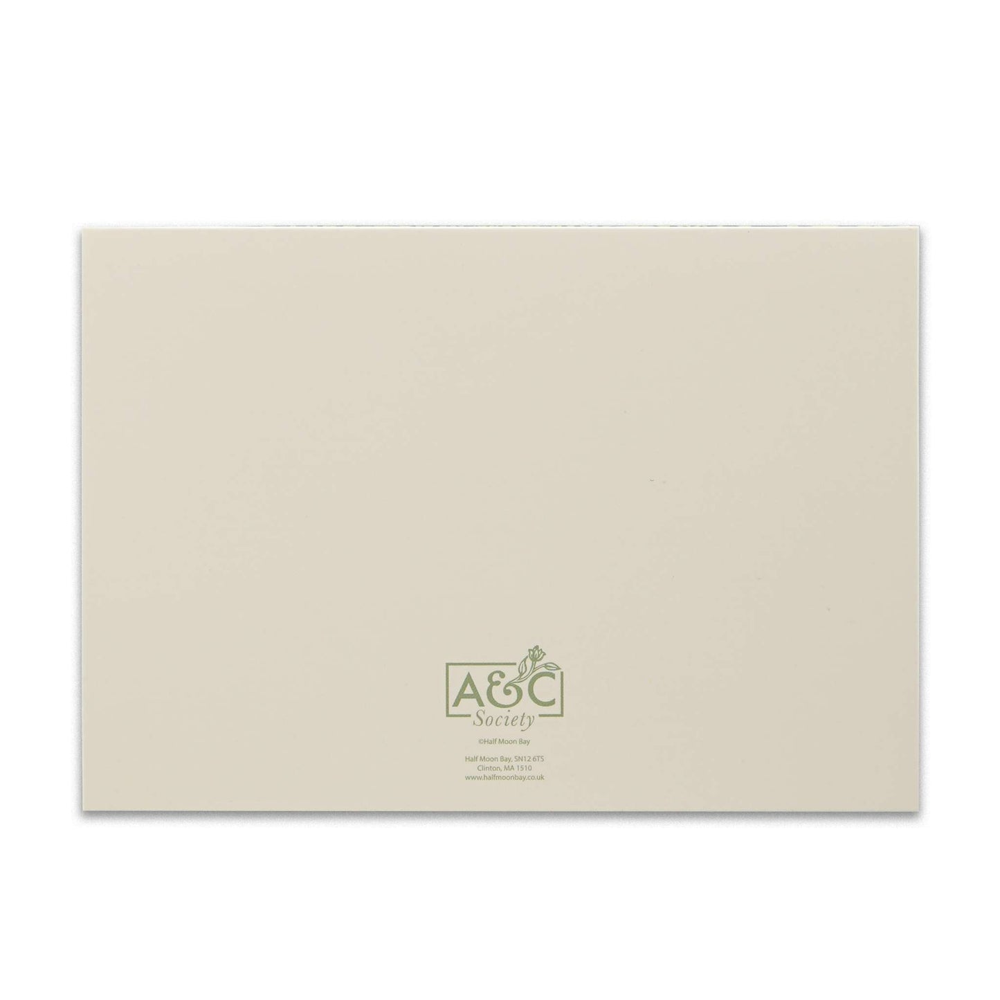 Box of 12 Raspberry/Sage cards and envelopes