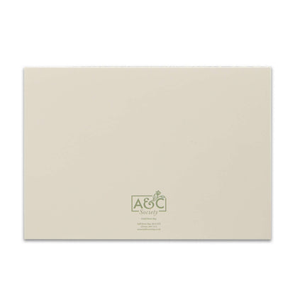 Box of 12 Raspberry/Sage cards and envelopes