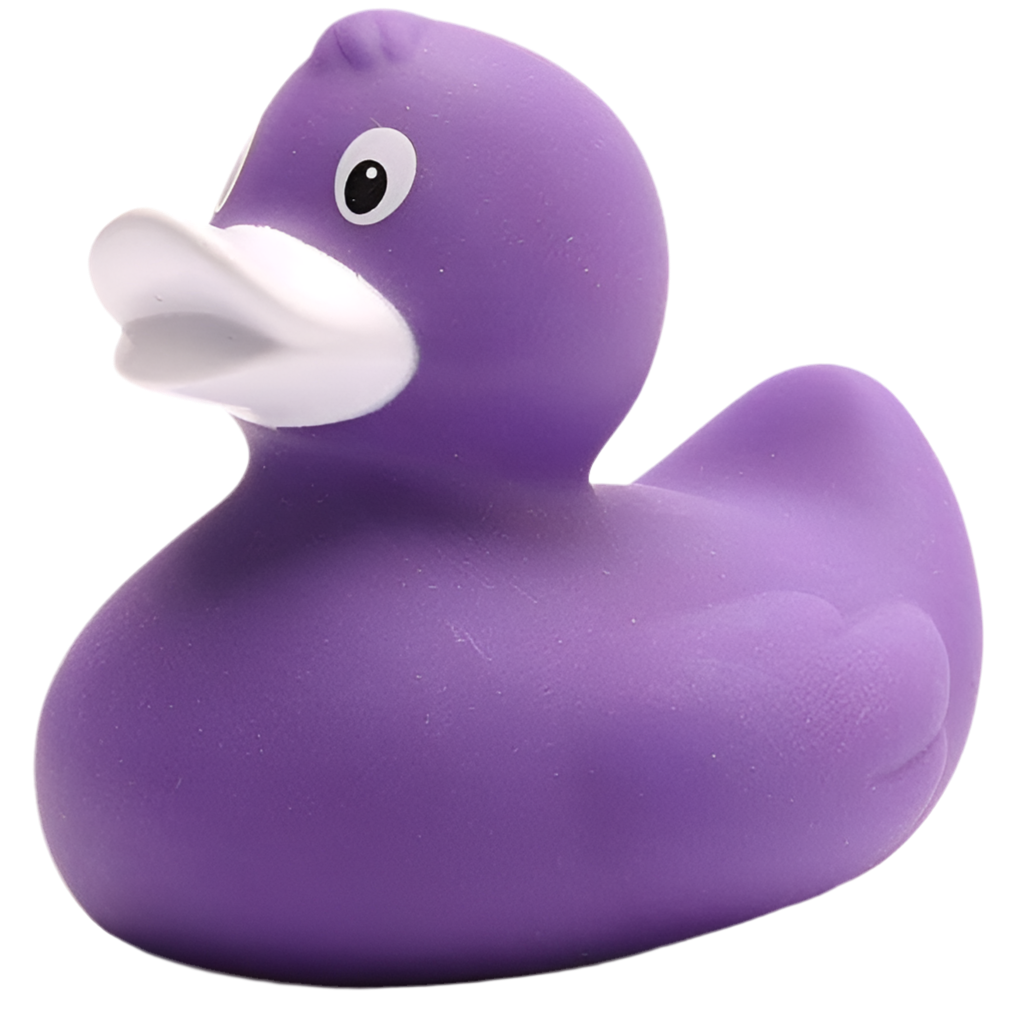 canard classique violet