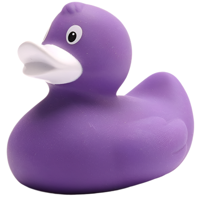 canard classique violet