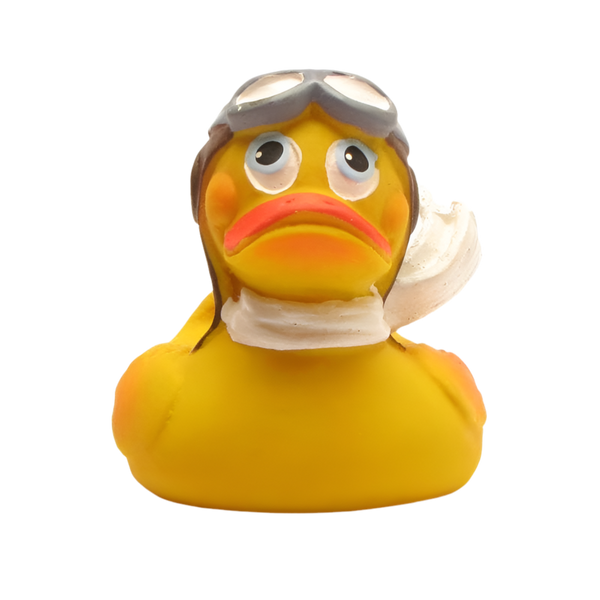 Aviator Duck