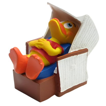 Canard Chaise de plage