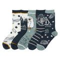 Lot de 5 paires de chaussettes femme Harry Potter - Poudlard