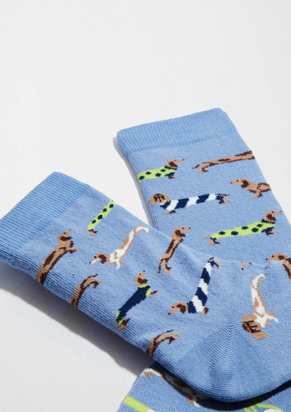 Chaussettes BePets Teckels Bleu