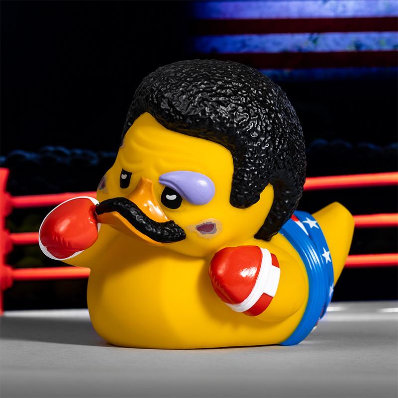 Rocky ducks