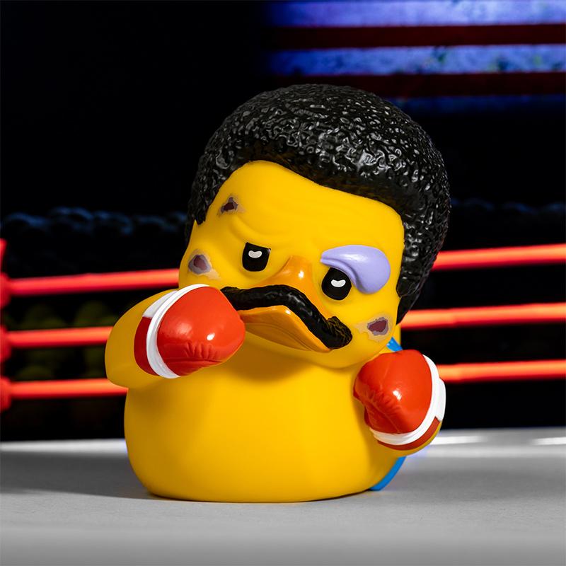 Rocky ducks