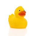 Ente de Course avec Ailes