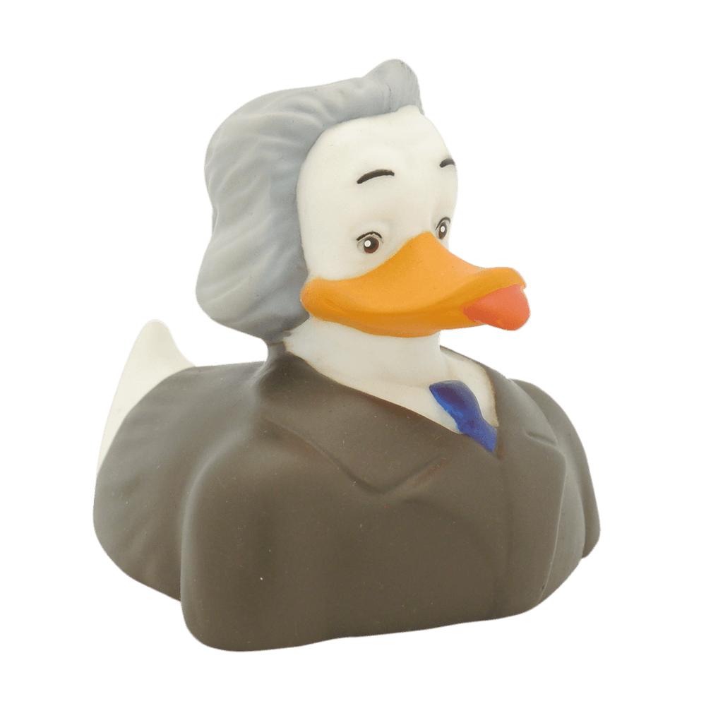 Duck Albert Duckstein