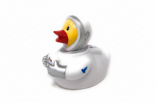 Duck astronaut