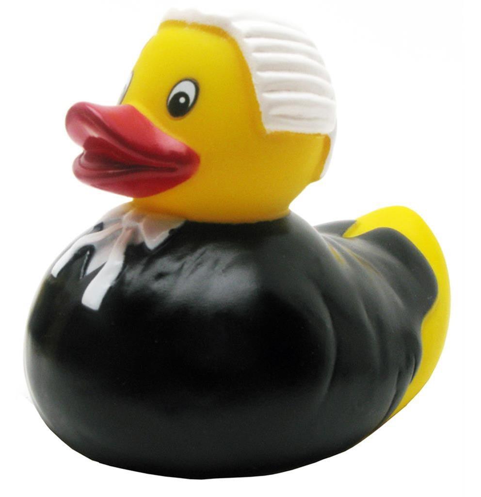 Ente Anwalt