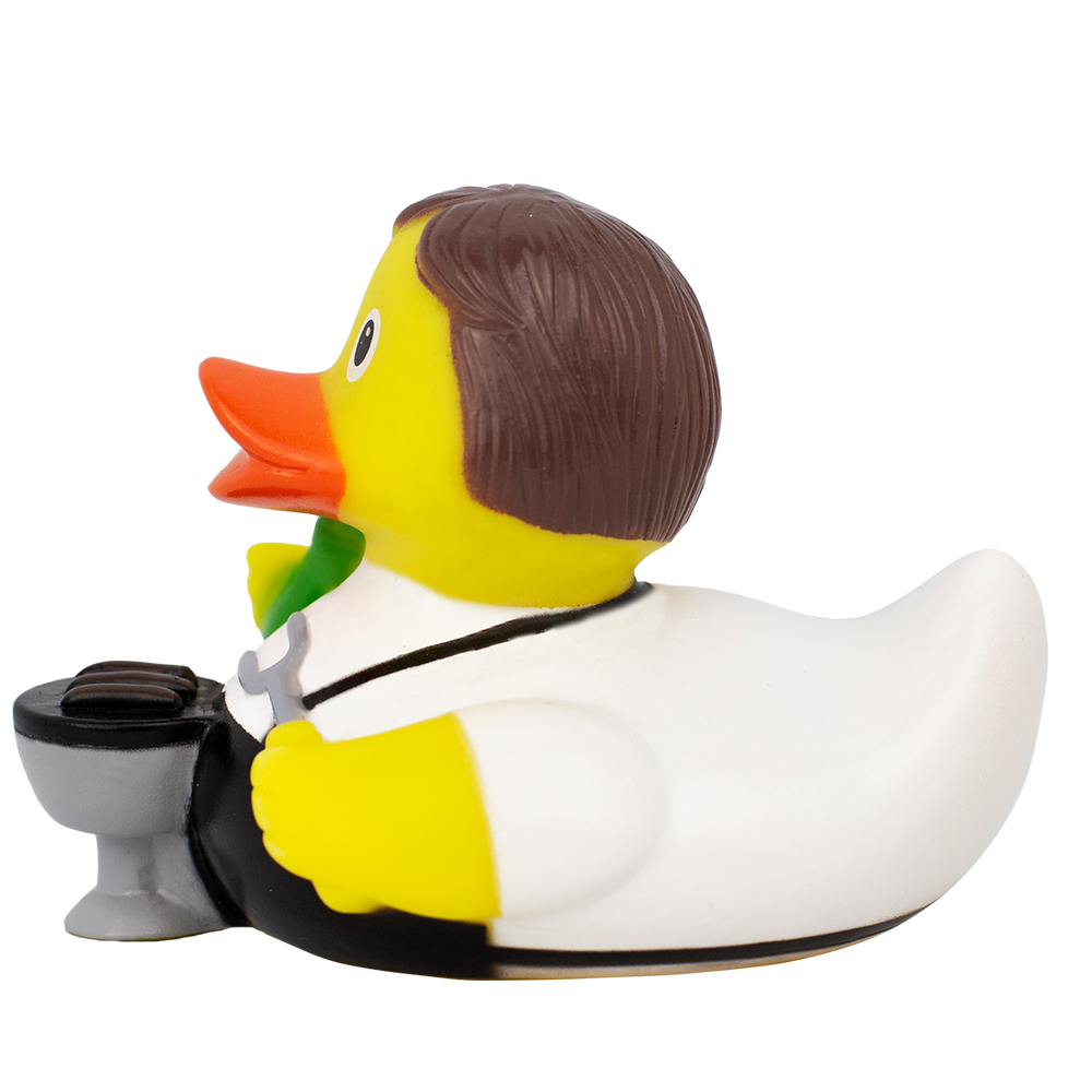 Barbecue duck