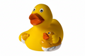 Ente Biberon