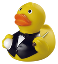 Canard Billard