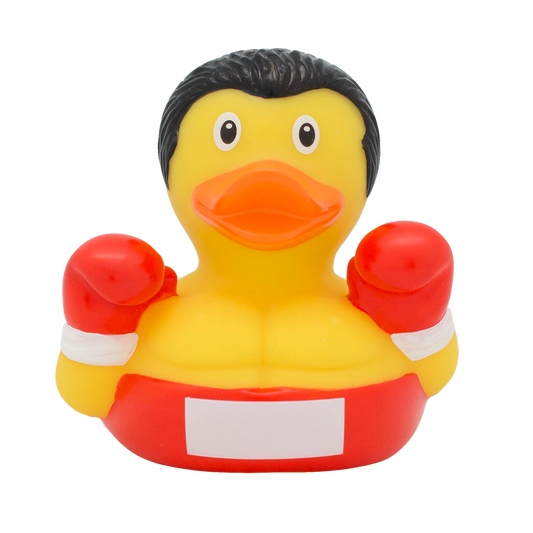 Boxing duck