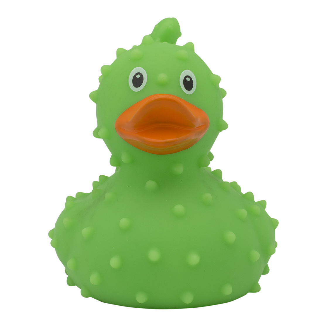 Duck cactus