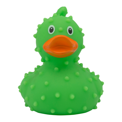 canard-cactus-lilalu