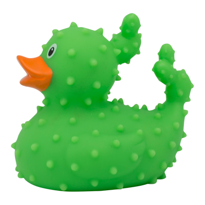 Duck cactus