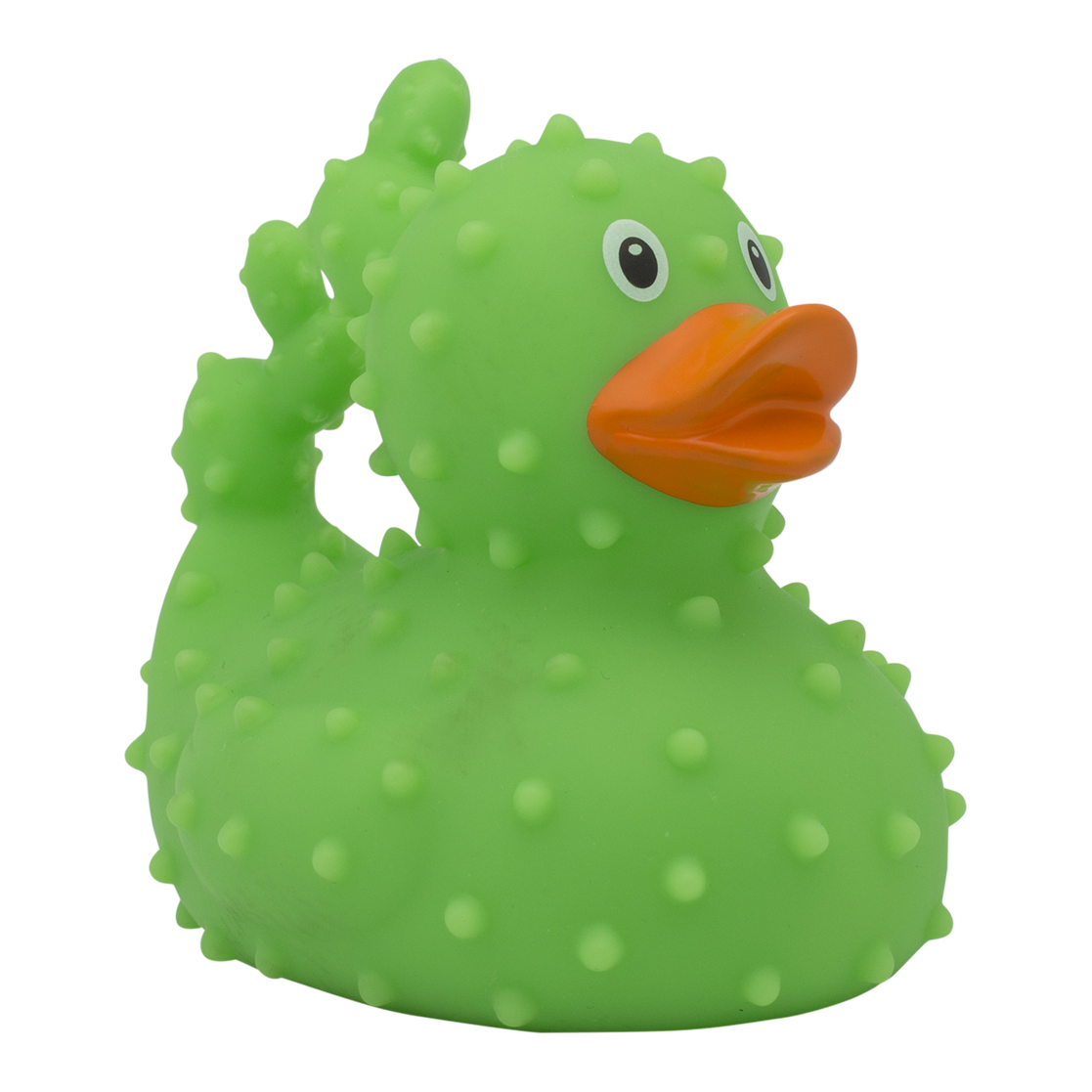 Duck cactus